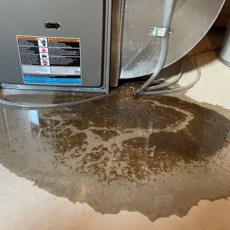 Appliance Leak Cleanup in Burgaw, NC